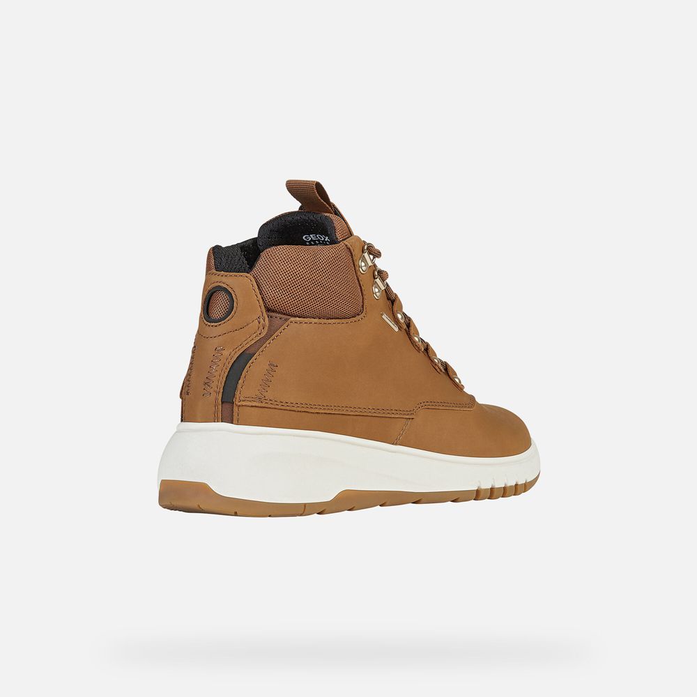 Geox Portugal - Botas Geox Senhora Online - Geox Aerantis 4X4 Abx Marrom
