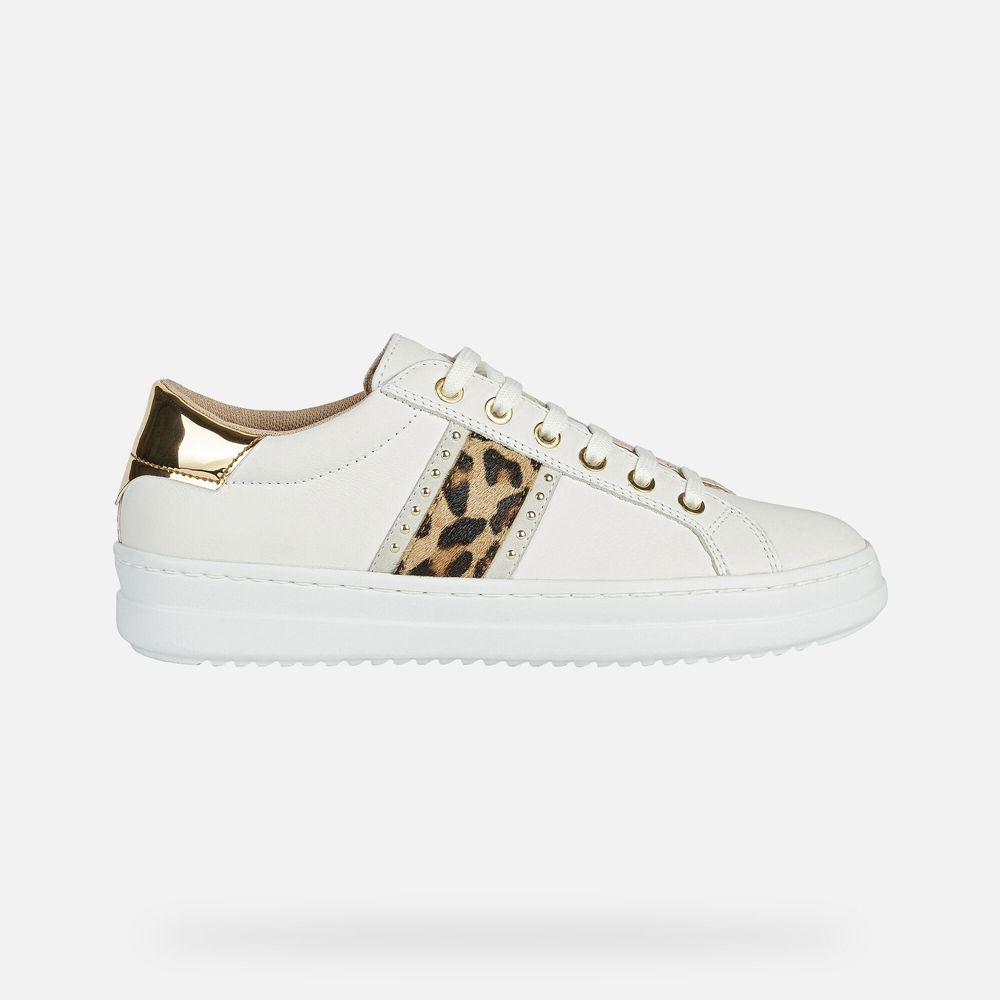 Sesja plenarna Wspólny wybór agencja geox primavera verão Odważny  perspektywiczny Spokój